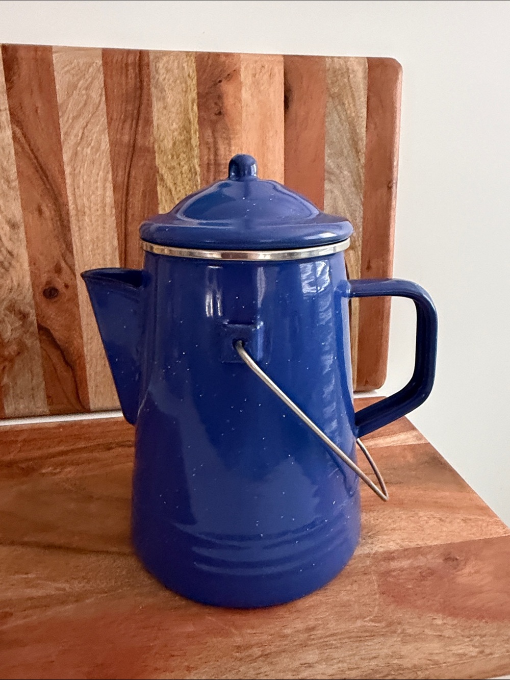 Blue Speckled Enamel Cowboy Camping Coffee Pot w/ Lid & Insert Made in Thailand